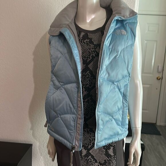 The North Face 550 Vest - Picture 2 of 12